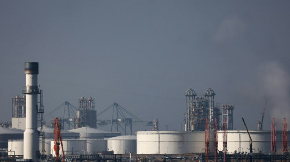 Los decomisos de coca&iacute;na en el puerto de Amberes se reducen m&aacute;s de la mitad por los controles reforzados en Am&eacute;rica Latina