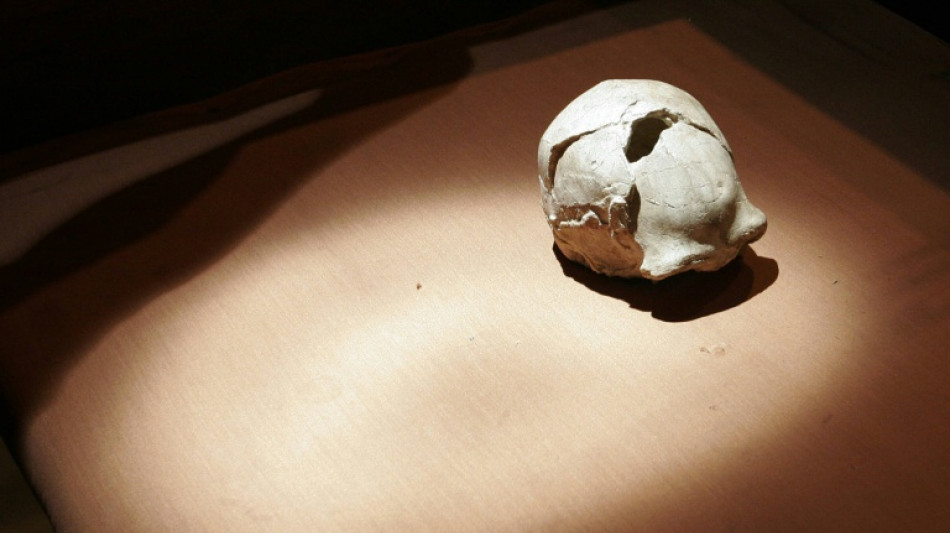 Un cr&aacute;neo de un mill&oacute;n de a&ntilde;os hallado en China podr&iacute;a reescribir la historia de la evoluci&oacute;n humana