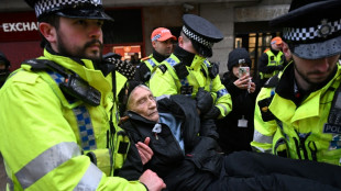 Palestine Action launches court bid to overturn UK government ban