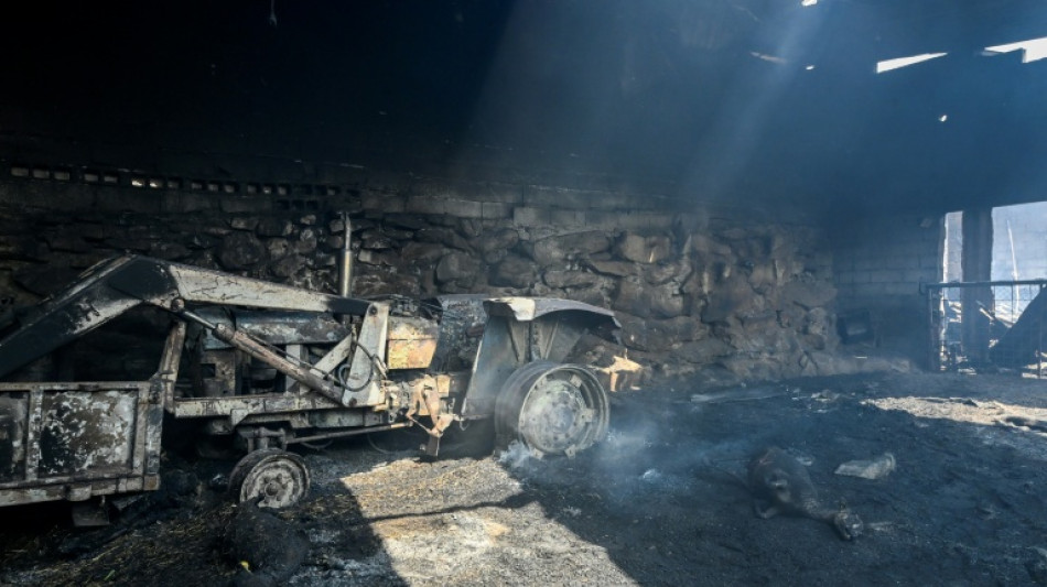 Una treintena de detenidos en Espa&ntilde;a este verano por los incendios forestales