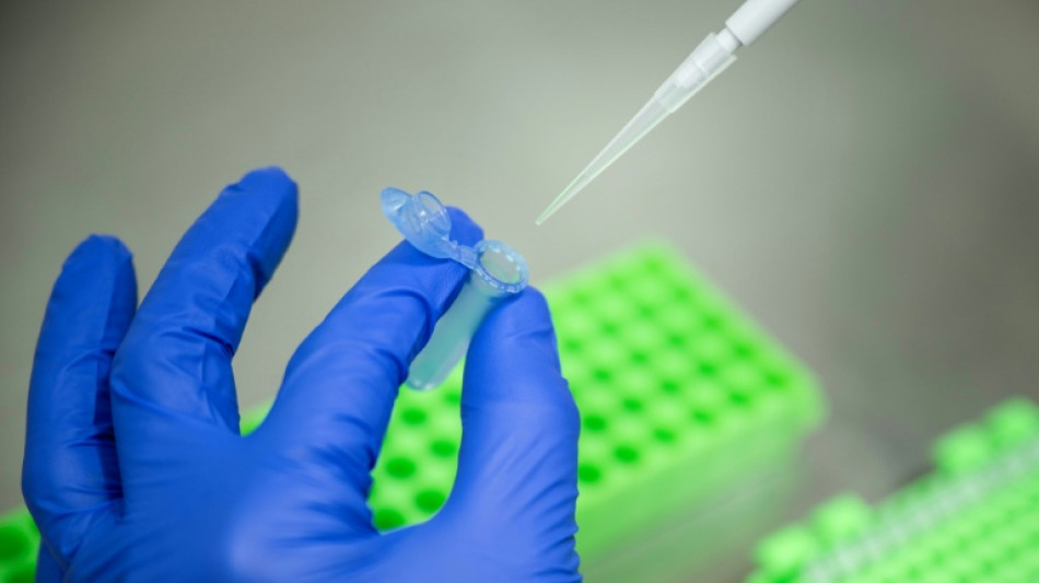 Gentechnik: Agrarindustrie begr&uuml;&szlig;t EU-Einigung - Kritik von Umweltsch&uuml;tzern