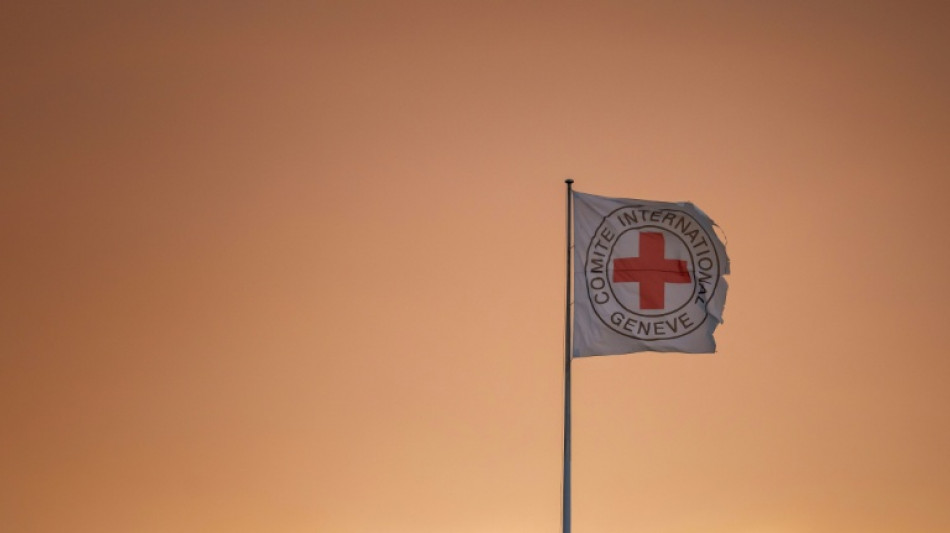 Cruz Roja convoca una reuni&oacute;n mundial sobre abusos del derecho internacional
