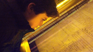 Manifestantes ecologistas lanzan polvo sobre la caja protectora de la Constituci&oacute;n de EEUU