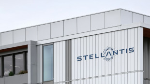 Stellantis: chiffre d'affaires en hausse, des "progrès" accomplis