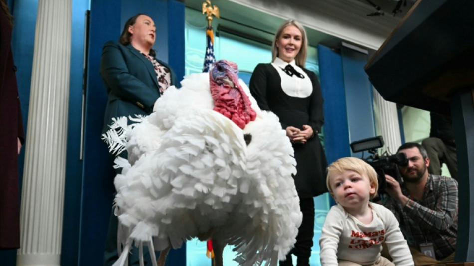 Vor Thanksgiving: US-Verbrauchervertrauen auf Sieben-Monats-Tief