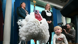 Vor Thanksgiving: US-Verbrauchervertrauen auf Sieben-Monats-Tief