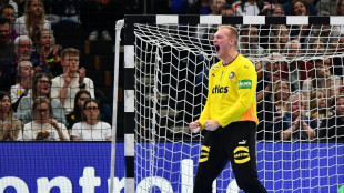 Handballer feiern Doppelsieg gegen &Auml;gypten - Sorgen um Knorr