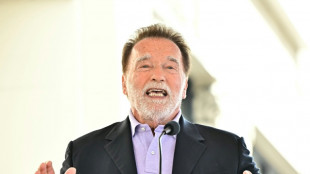 El universo pop de la Comic-Con de San Diego aterriza en Espa&ntilde;a con Arnold Schwarzenegger