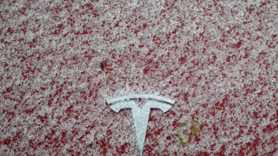 Erstmals in Europa: Niederlande erlauben Nutzung von Tesla-Selbstfahrfunktion