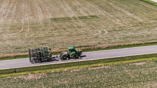 Agea, con l'app IO pi&ugrave; contrasto a frodi su fondi agricoli Ue