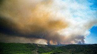 Evacuate oltre 400 persone a Huelva in Spagna per un incendio boschivo