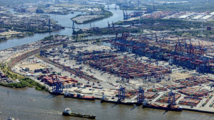 Unfall auf Schiff in Hamburger Hafen: Mann stirbt bei Kranreparatur