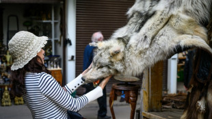 Zollbeamte entdecken an Frankfurter Flughafen Wolfsfell in Gep&auml;ck