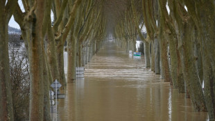 La France en "crue g&eacute;n&eacute;ralis&eacute;e", &eacute;vacuations localis&eacute;es pr&egrave;s de la Garonne