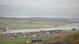 El santuario en las islas escocesas de Shetland busca salvar a las focas de la contaminaci&oacute;n