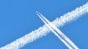 Betriebsratswahlen bei neu gegr&uuml;ndeter Lufthansa-Tochter Eurowings Discover im April