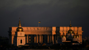 US pressed Ukraine to accept deal at Geneva talks, official says