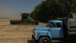 Dans le centre de l'Ukraine, une guerre chaque jour plus pr&eacute;sente