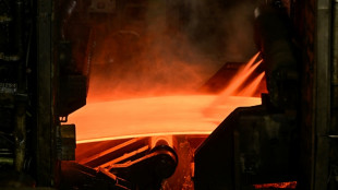 EU-Kommission schlägt deutliche Ausweitung der Stahlzölle vor 