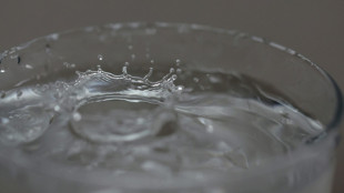 PFAS: des &eacute;lus craignent que ne soit "enterr&eacute;" un rapport sur la d&eacute;pollution