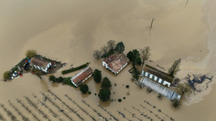 "Crue g&eacute;n&eacute;ralis&eacute;e" en France: "on a d&eacute;pass&eacute; tous nos records", selon la directrice de Vigicrues (&agrave; l'AFP)