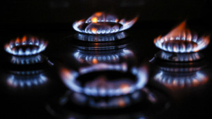 Il gas chiude in calo sul mercato di Amsterdam (-1,56%)