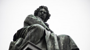 Nei capelli di Beethoven la causa della sordit&agrave;