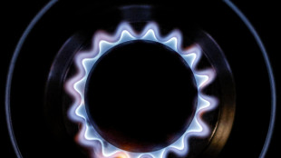 Il prezzo del gas apre in rialzo a 39,10 euro al megawattora