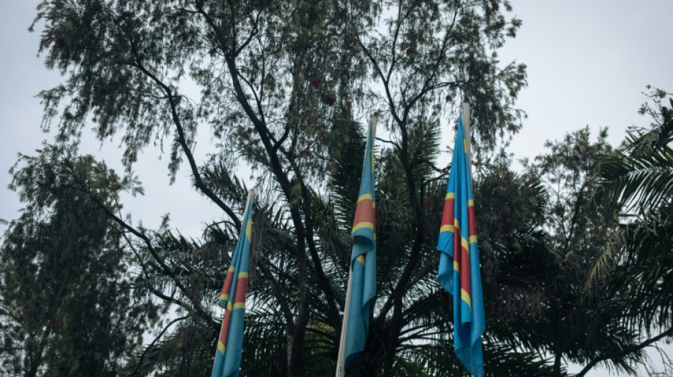 Al menos 32 muertos por un derrumbe en una mina de cobalto en RD Congo