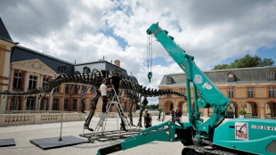 Se subastar&aacute; en Francia el f&oacute;sil del dinosaurio m&aacute;s grande jam&aacute;s puesto a la venta