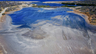 Court orders Dutch to protect Caribbean island from climate change