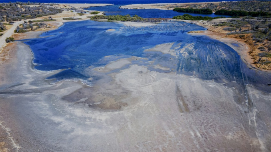 Netherlands 'insufficiently' protects Caribbean island from climate change: court