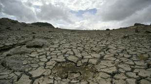 Klimaph&auml;nomen El Ni&ntilde;o: F&uuml;r 80 Prozent von Honduras D&uuml;rre-Alarm ausgerufen