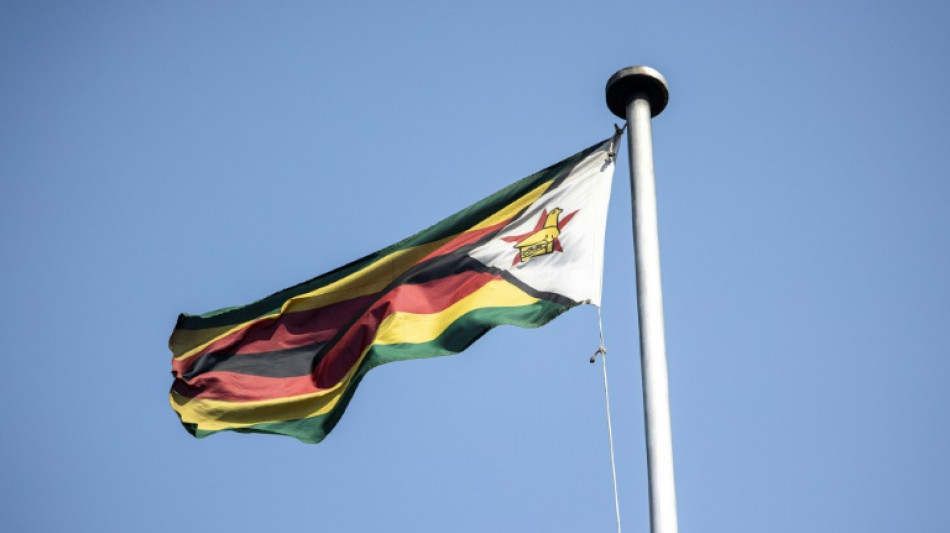 Zimbabue prohibirá las exportaciones de litio para dinamizar el refinado en el país