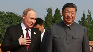Kreml-Chef Putin zu Besuch in China erwartet 