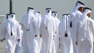 Catar vota abrumadoramente por eliminar la elecci&oacute;n legislativa