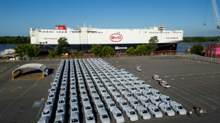 Milei ante el dilema de comerciar con China y satisfacer a Trump