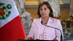 Selfis de la presidenta de Per&uacute; alimentan la pol&eacute;mica sobre su cirug&iacute;a de nariz