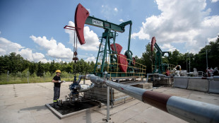 Il petrolio apre in rialzo a New York a 69,30 dollari