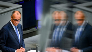 Merz kritisiert EU-Pl&auml;ne f&uuml;r Finanzrahmen und fordert signifikante &Auml;nderungen