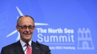 Merz: Windkraft ist "&Uuml;bergangstechnologie" auf Weg zu Fusionsenergie