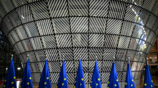 Climat: divisée, l'UE essaye de ne pas arriver les mains vides au Brésil