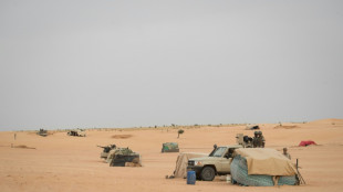 Vives tensions Mauritanie-Mali apr&egrave;s la multiplication d'incidents &agrave; la fronti&egrave;re