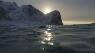 Norwegen legt Tiefseebergbau vorerst auf Eis - Umweltsch&uuml;tzer erleichtert