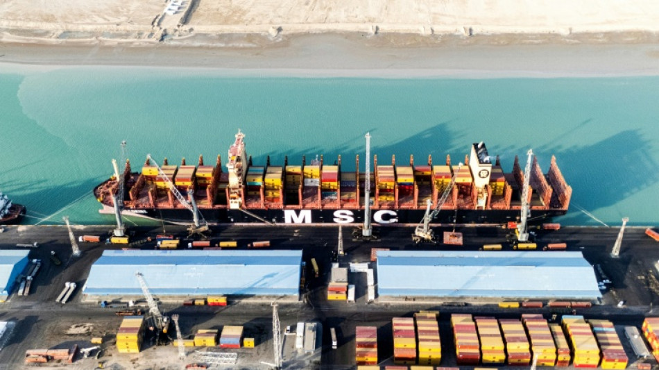 Shipping giant MSC halts Gulf exports amid war risks