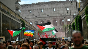 Manifestaciones y huelgas en varias ciudades de Italia para denunciar la ofensiva israel&iacute; en Gaza