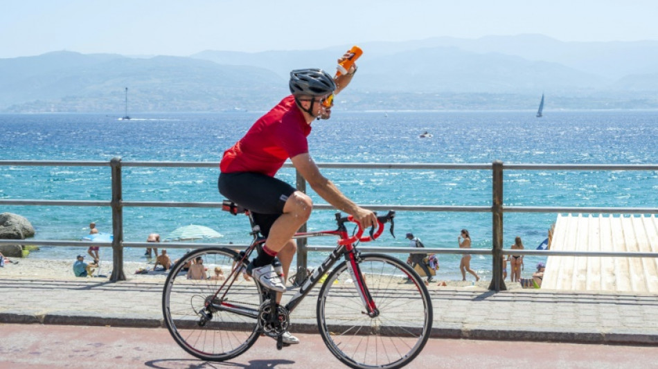 Bananos y mangos llegan a Sicilia de la mano del calentamiento clim&aacute;tico