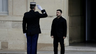 Zelenski visitar&aacute; Irlanda por primera vez