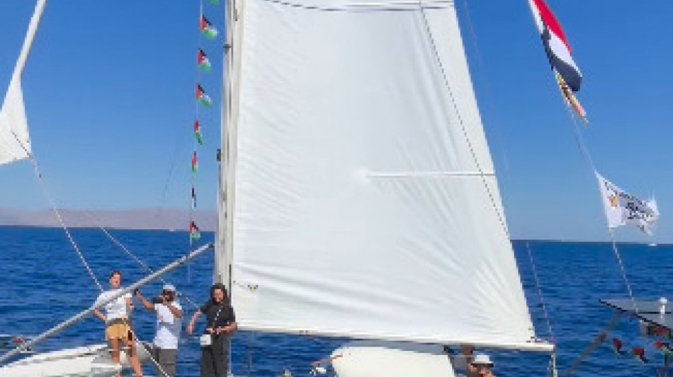 Flotilla, 'le 50 barche continueranno dirette fino a Gaza'++