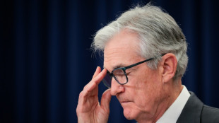 Wall Street rallies, dollar drops as Fed chief fuels rate cut hopes